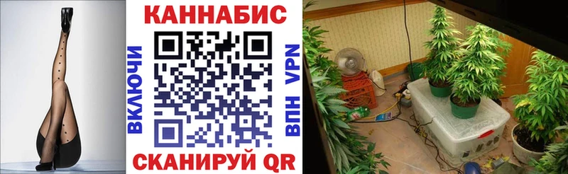 Цена Сальск ГАШ  ОМГ ОМГ зеркало  АМФЕТАМИН  Меф мяу мяу  Кокаин  СК  Бошки Шишки 