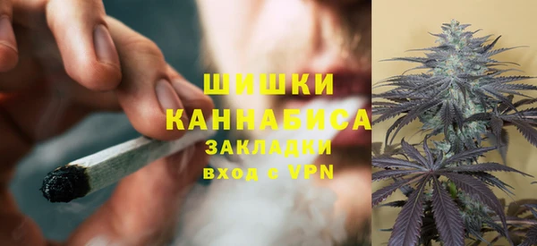 твердый Мегион