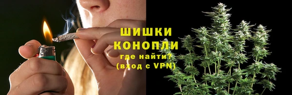твердый Мегион