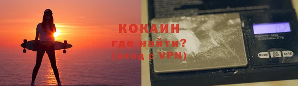 твердый Мегион