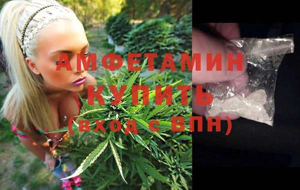 твердый Мегион