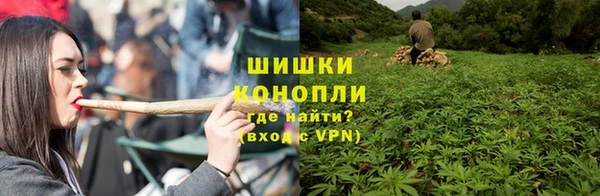 твердый Мегион