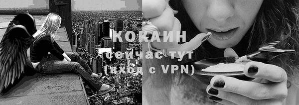твердый Мегион
