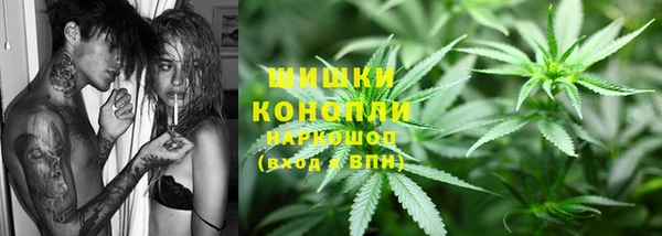 твердый Мегион